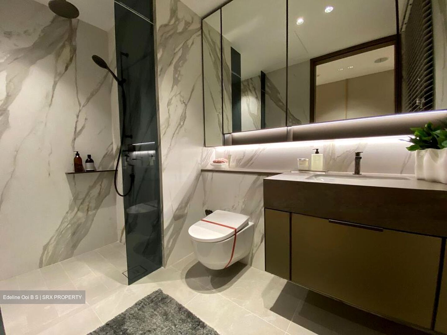 Promenade Peak (D3), Condominium #538936081